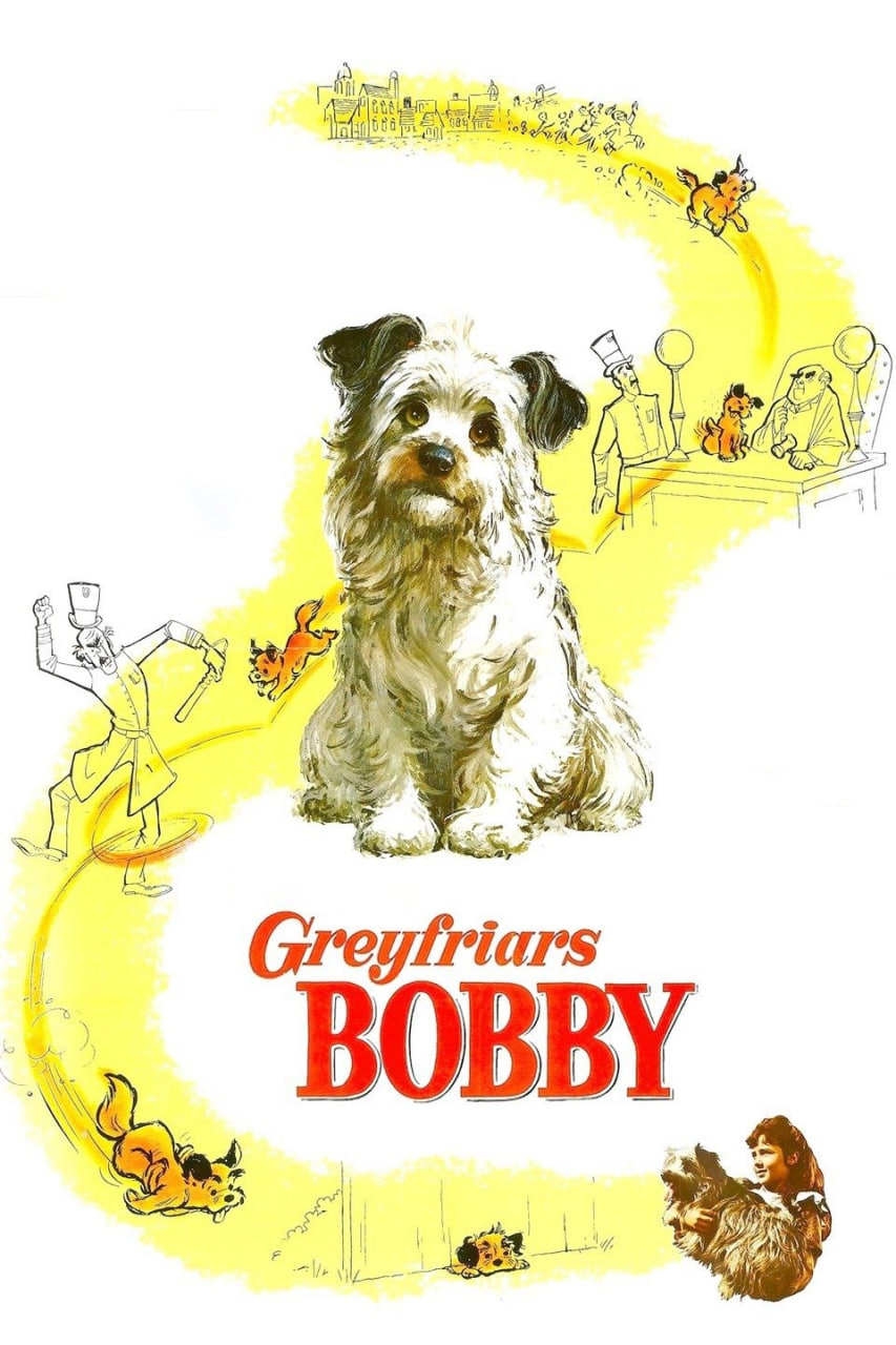 绿野小英雄(全集)