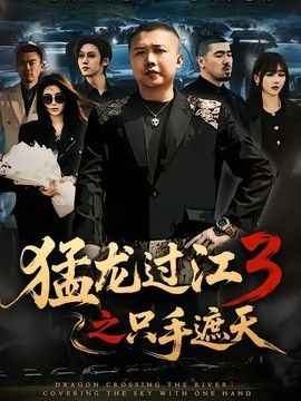 猛龙过江3之只手遮天(全集)