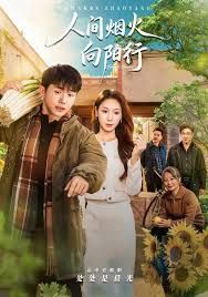 人间烟火向阳行(全集)