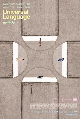 共同的语言(全集)