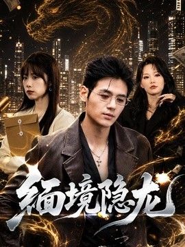 缅境隐龙(全集)