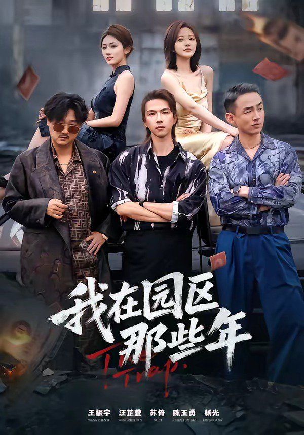 我在园区那些年(全集)